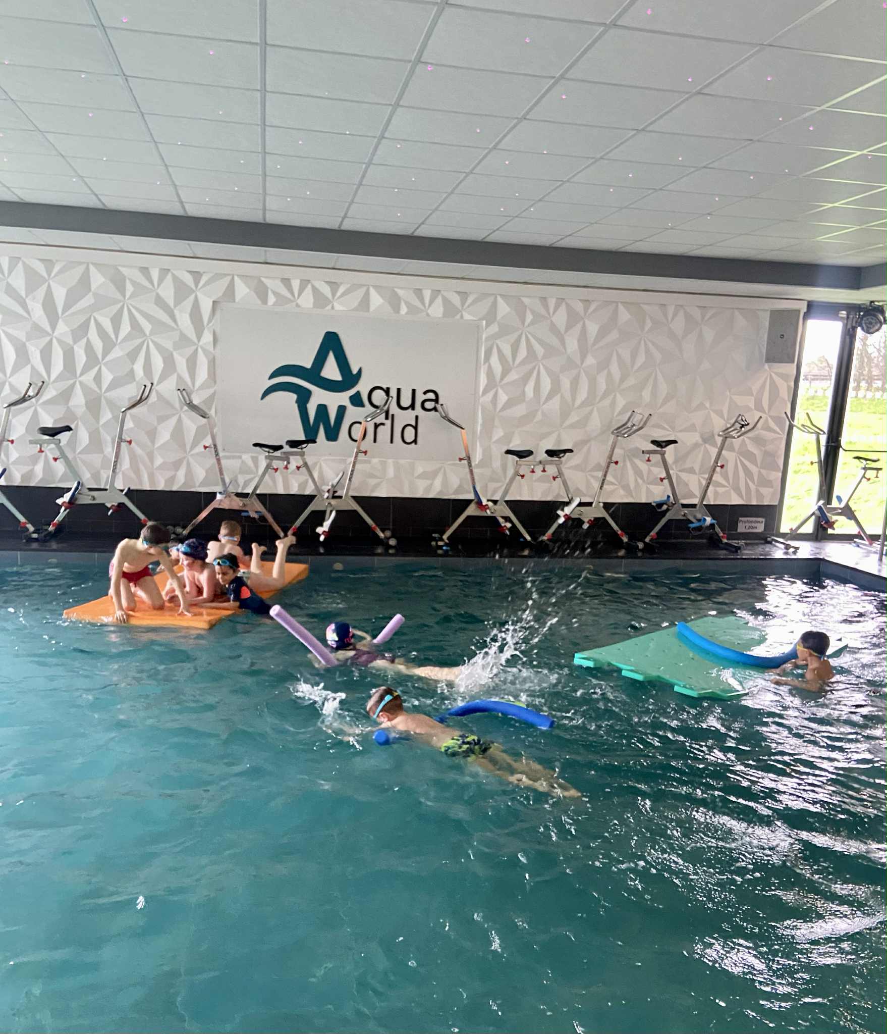 d477d3c1-b71b-41ff-a4d7-e2958a6c9fa7